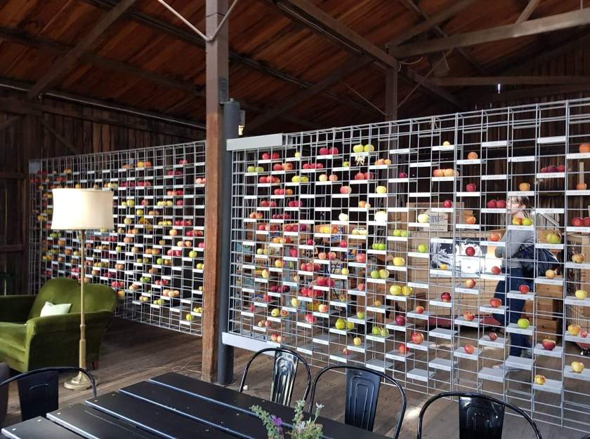 received_340757306791783