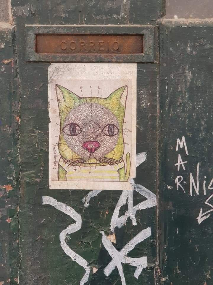 FB_IMG_1559158224074