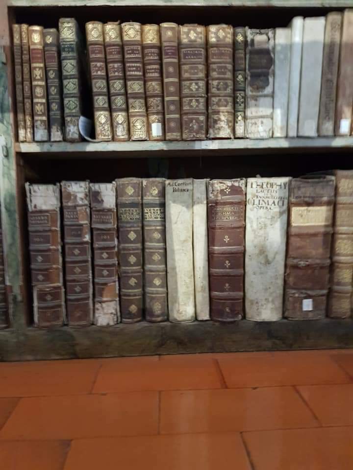 FB_IMG_1559158685346