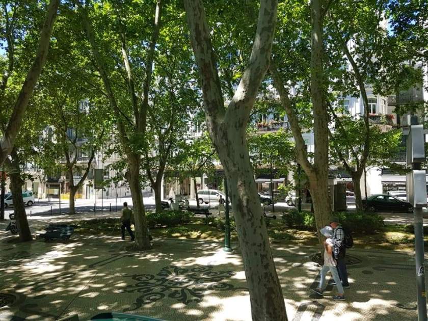 FB_IMG_1559364608997