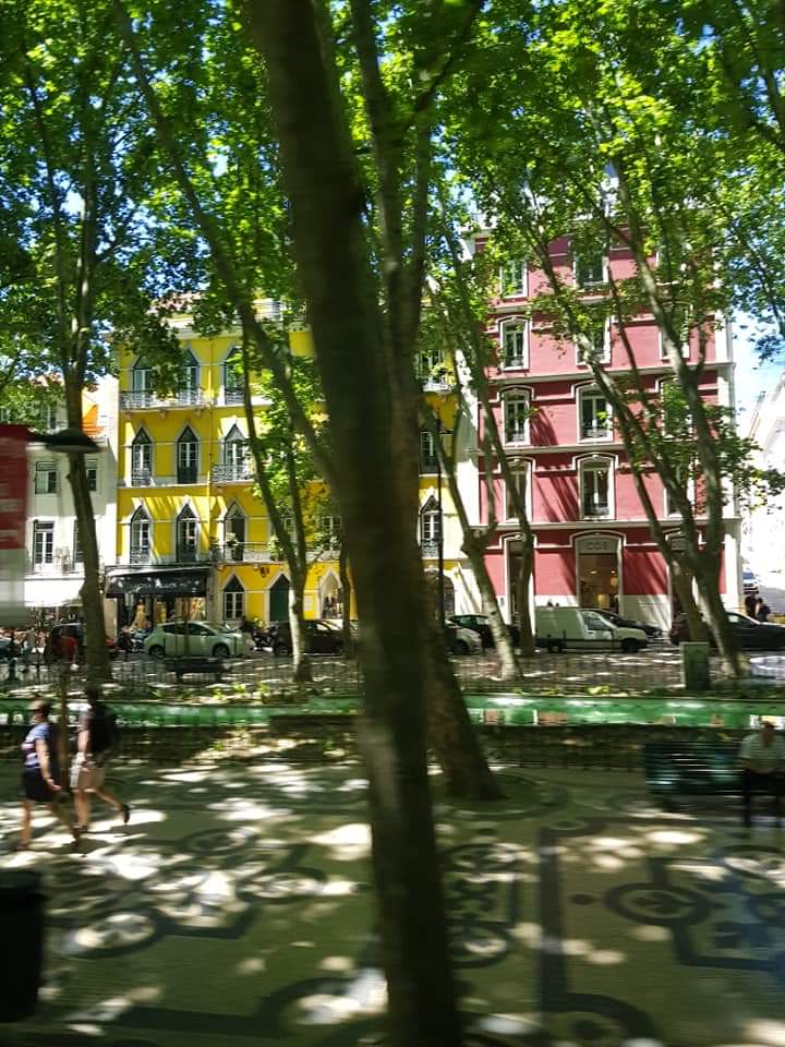 FB_IMG_1559364614939