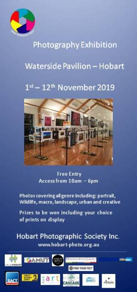 74378587_143647427024879_8030446536838086656_n