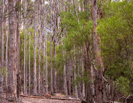 89828882_3055537494480699_5550781738684252160_o