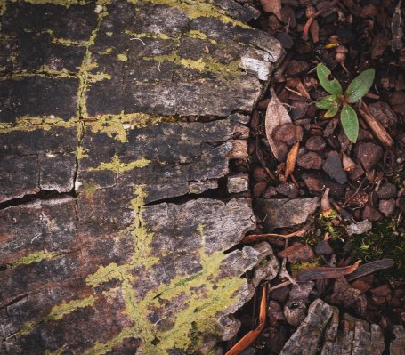 90047539_3055537341147381_6826748498633818112_o