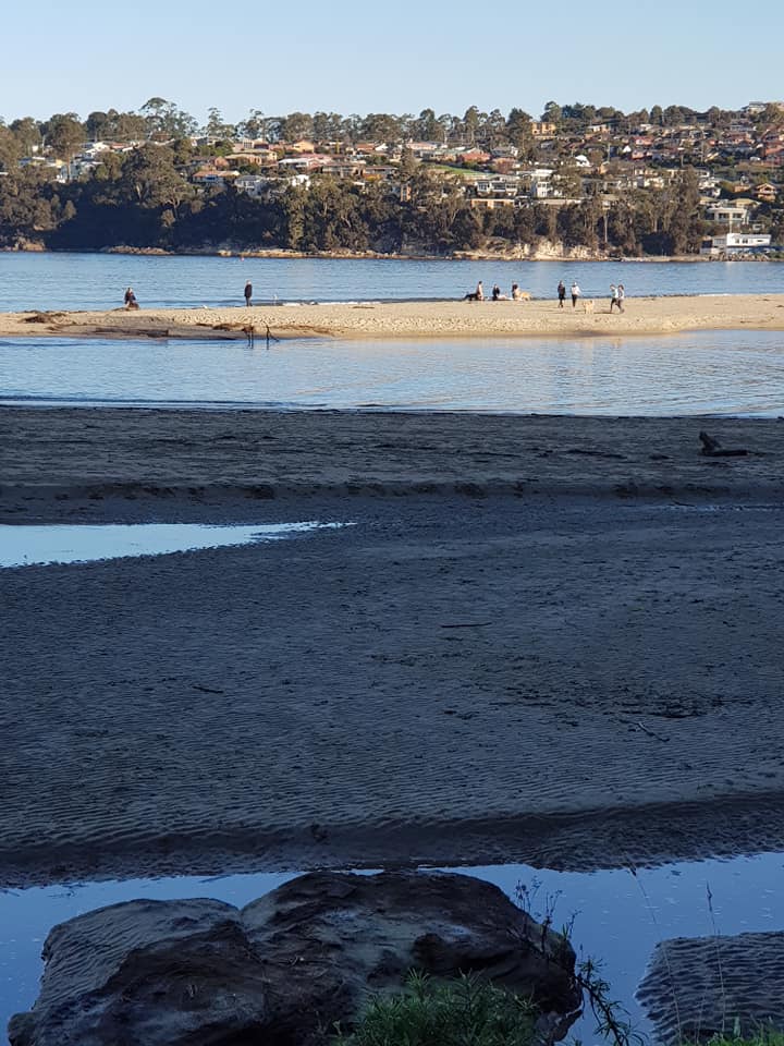 dog beach